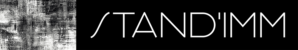 Logo Standimm immobilier Dijon